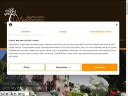 Sites similar to agriturismoilmelograno.eu