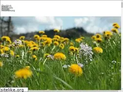 Sites similar to agro-office.ch