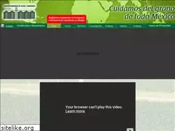 Sites similar to agro-operadora.com