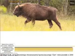 Sites similar to agrobialowieza.pl