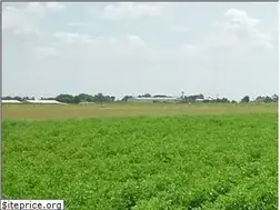Sites similar to agrodepot.com.mx