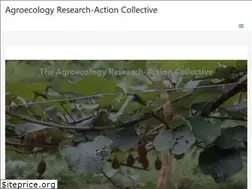 Sites similar to agroecologyresearchaction.org