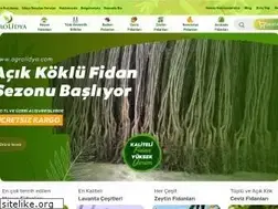 Sites similar to agrolidya.com