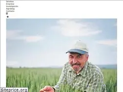 Sites similar to agromonegros.com