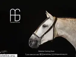 Sites similar to agspanishhorses.com