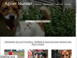 Sites similar to aguerhunter.com.ar