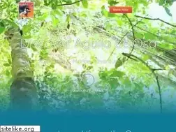 Sites similar to aguiladeosa.com