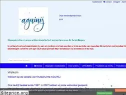 Sites similar to aguinij.nl