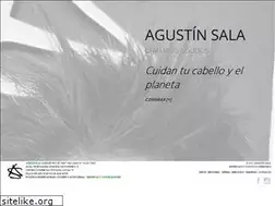 Sites similar to agustinsala.com