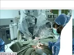 Sites similar to ahmedtawfeekclinics.com