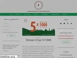 Sites similar to aibchiaverano.org