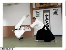 Sites similar to aikidoryu.or.jp