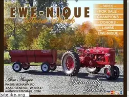 Sites similar to aingershowlambs.com