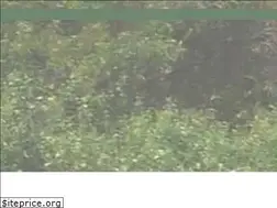 Sites similar to airboatwildernessrides.com