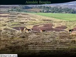Sites similar to airedalebeagles.com