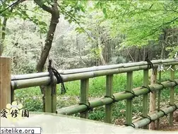 Sites similar to aisyuuen.com