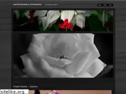 Sites similar to ajaytaobotanicalblog.wordpress.com