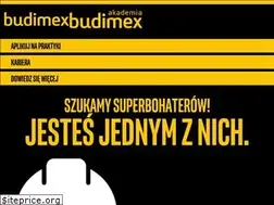 Sites similar to akademiabudimex.pl