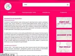 Sites similar to akademianaokulu.com
