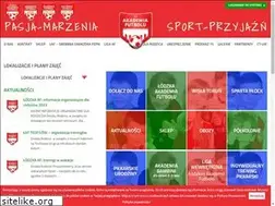 Sites similar to akademiapilki.pl