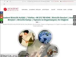 Sites similar to akademibinicilik.com.tr