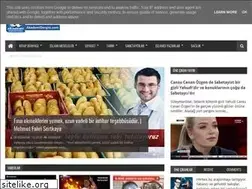 Sites similar to akademidergisi.com
