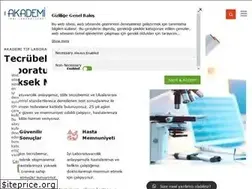 Sites similar to akademilab.com