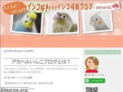 Sites similar to akahel.com