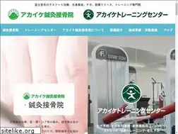 Sites similar to akaike-ss.com