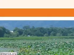 Sites similar to akatukafukusi.com