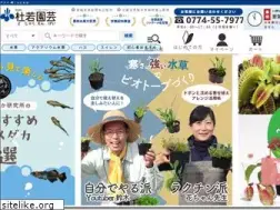 Sites similar to akb.jp