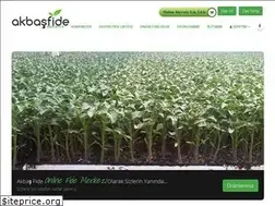 Sites similar to akbasfide.com