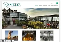 Sites similar to akcakocakamelya.com