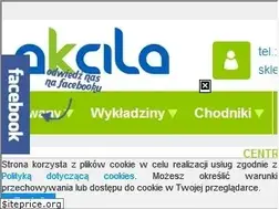 Sites similar to akcila.sklep.pl