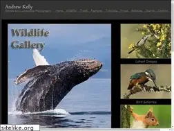 Sites similar to akellyphoto.com