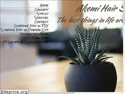 Sites similar to akemisalon.com