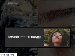 Sites similar to akewuele.com