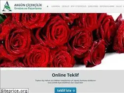 Sites similar to akguncicekcilik.com