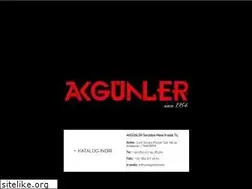 Sites similar to akgunler.com