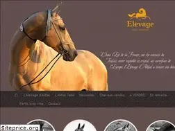 Sites similar to akhal-teke.biz