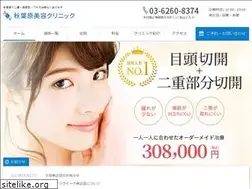 Sites similar to akihabara-biyou.com