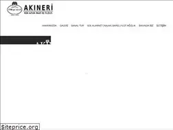 Sites similar to akineri.com