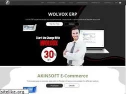 Sites similar to akinsoft.com