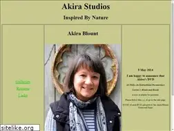 Sites similar to akirastudios.com
