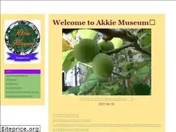 Sites similar to akkie-museum.com