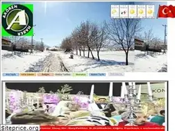 Sites similar to akoren.gen.tr