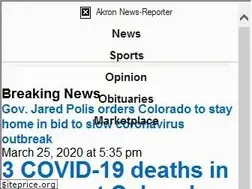 Sites similar to akronnewsreporter.com