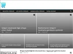 Sites similar to aktuelciyim.com