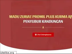 Sites similar to akuinginhamil.com