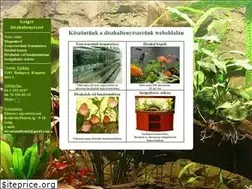 Sites similar to akvariumdiszhal.hu